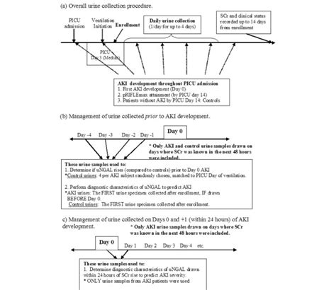 Description of urine collection procedures and use of urine specimens... | Download Scientific ...