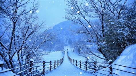 WALLPAPERS HD: Winter