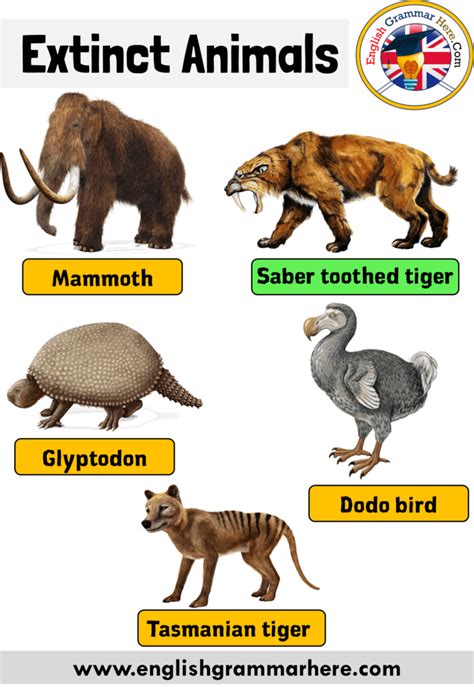 Names of Extinct Animals, Extinct Animals With Names and Pictures ...