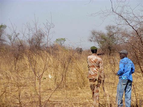 Best Guide to Nimule National Park 2023-2024