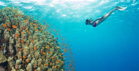 Best Snorkeling in Hawaii | Insider Families