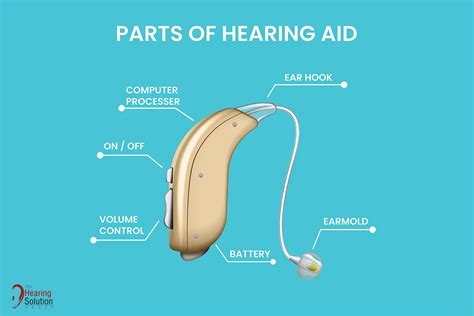 Are Hearing Aid Warranties Worth It at Linda Cavazos blog