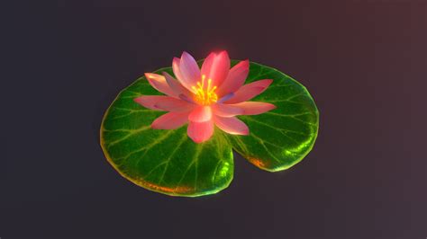 Lotus Animation - Buy Royalty Free 3D model by pinotoon [18849df] - Sketchfab Store