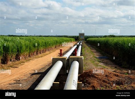 Irrigated sugar cane plantation, near Juazeiro, Bahia, Brazil Stock Photo - Alamy