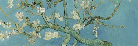 Vincent van gogh almond blossom | World Menagerie 'Almond Blossom' by Vincent Van Gogh on Canvas ...