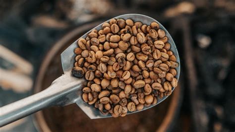 What Is Peaberry Coffee? Learn More About This Rare Coffee Bean