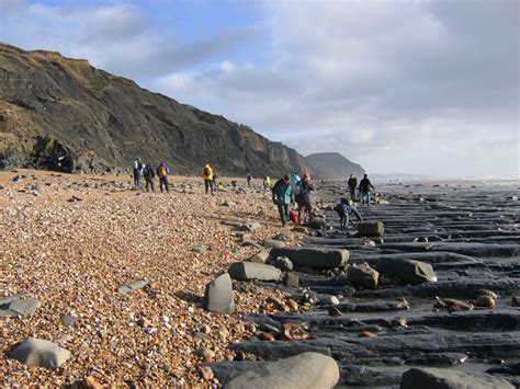 Charmouth (Dorset) | Discovering Fossils