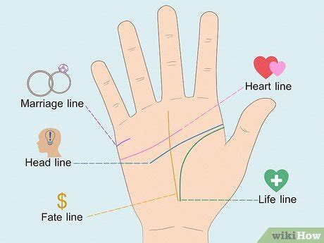 Palm Reading Guide: Marriage Lines Explained