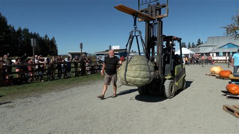 Giant pumpkin contest held in Langley