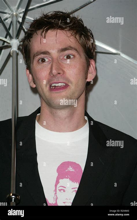 David Tennant Harry Potter