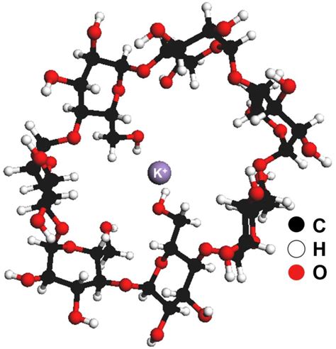 16: Schematic example of cyclodextrin complex. | Download Scientific Diagram