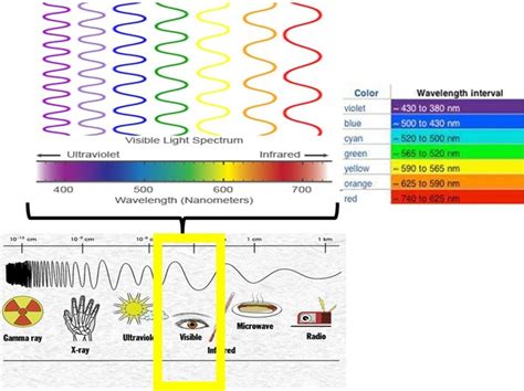 Which colour in the visible light spectrum has the least energy