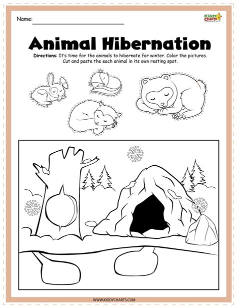 Hibernating Animals Worksheet Kindergarten