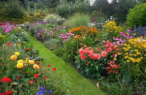 How to Create a Wildflower Cottage Garden - Lovely Greens