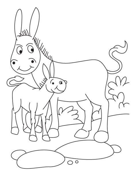 Baby Donkey Drawing at GetDrawings | Free download