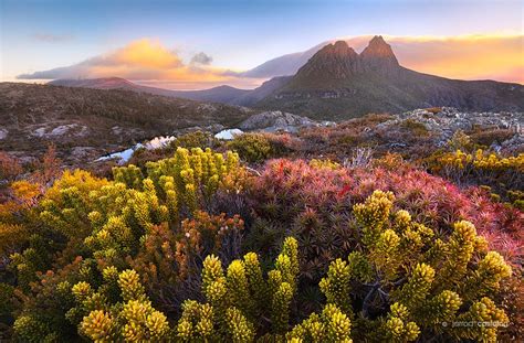 Tasmanian Wilderness | Australia landscape, Wilderness, Landscape ...