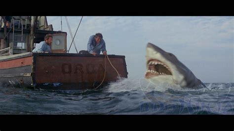 Jaws Blu-ray Review | Hi-Def Ninja - Blu-ray SteelBooks - Pop Culture - Movie News