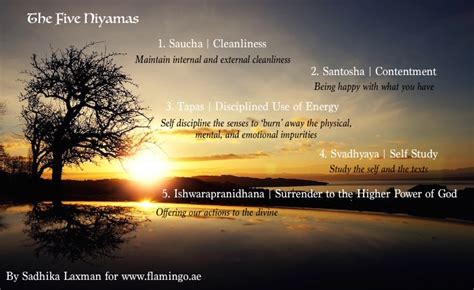 Saucha: The First Niyama | Flamingo Yoga & Wellness