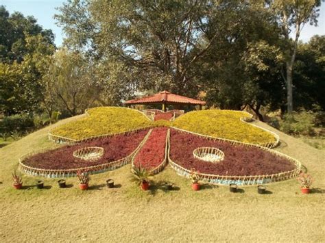 5 Lesser known Gardens In Chandigarh - ChandigarhX