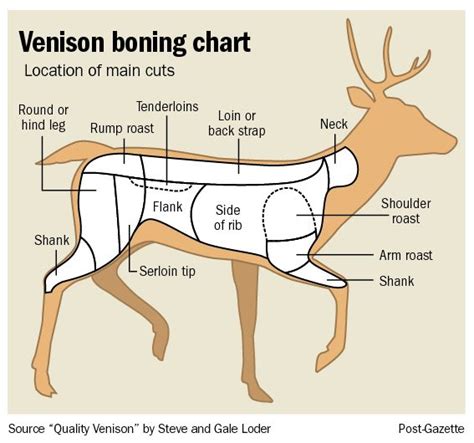 Venison Processing Charts & Cuts