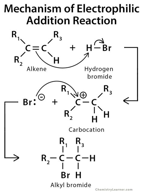 Addition Reaction: Definition, Examples, and Mechanism