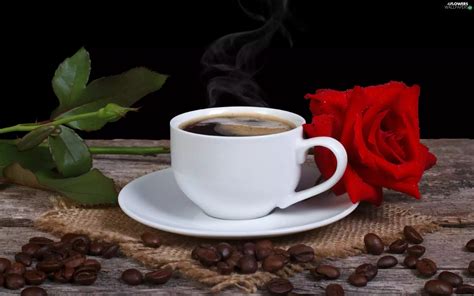 coffee, rose, Bench, composition, grains, cup - Flowers wallpapers: 2560x1600