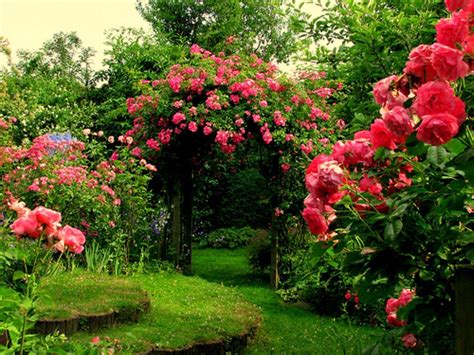 Rose Garden Wallpapers - Wallpaper Cave