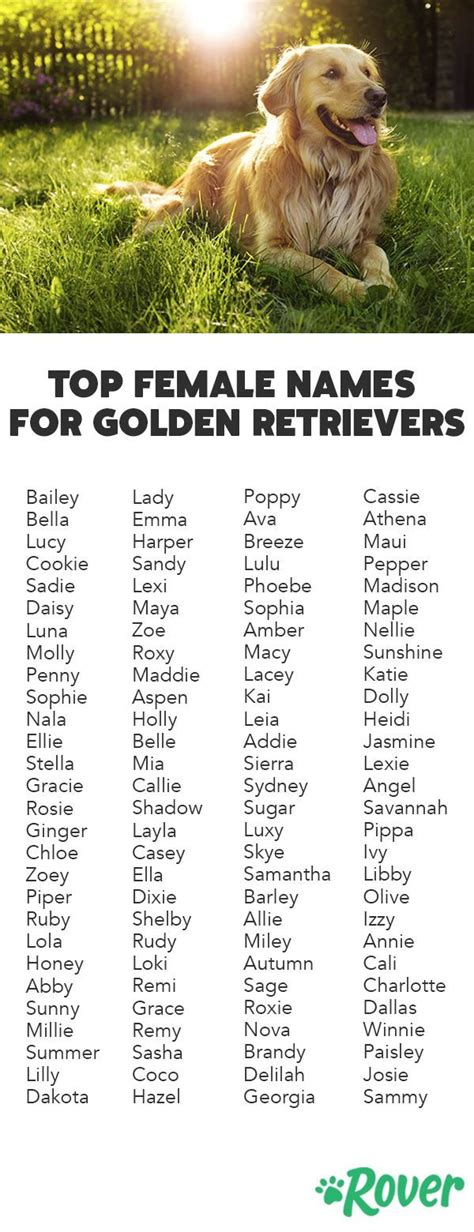 Weve rounded up the top female names for Goldens and Golden Retriever ...