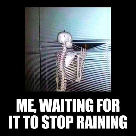 35 Funny Rain Memes To Shower You With Chuckles | Funny rain quotes ...