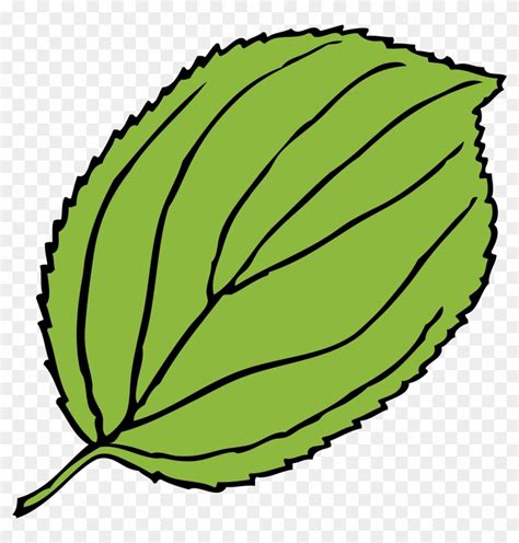 Green, Apple, Outline, Leaf, Tree, Cartoon, Free, Plant - Leaf Clip Art - Free Transparent PNG ...