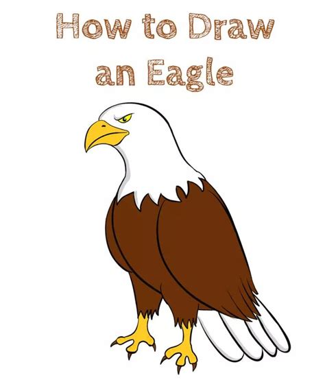 How to Draw an Eagle Easy - How to Draw Easy | Eagle drawing, Easy ...