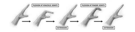 Finger flexion in half crimp position : r/climbharder