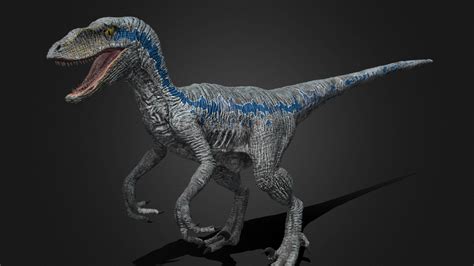 Blue The Velociraptor Wallpapers - Wallpaper Cave