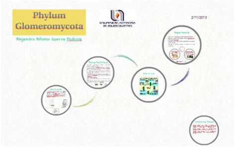 Glomeromycota by Alejandro Guerra on Prezi