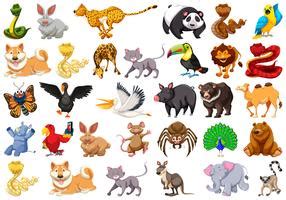 Animal Svg Vector Art, Icons, and Graphics for Free Download