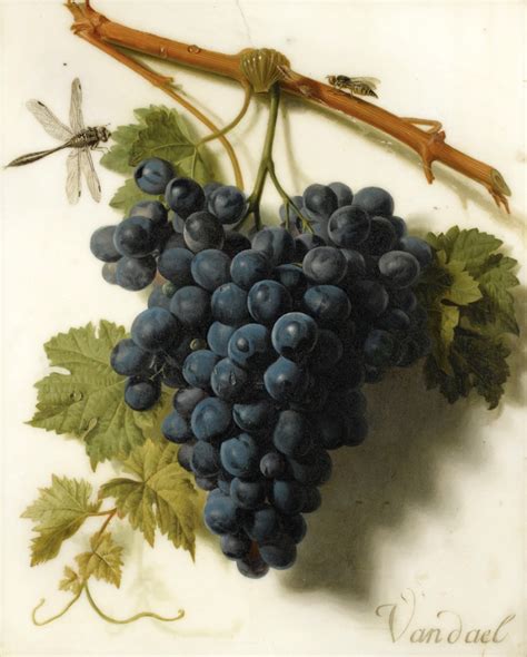 Grapes Painting | Jan Frans van Dael Oil Paintings