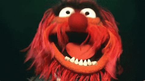 Animal Muppets GIF - Animal Muppets Scary - Discover & Share GIFs