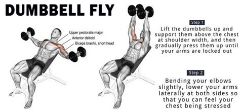 How to Dumbbell Chest Flyes | Weighteasyloss.com