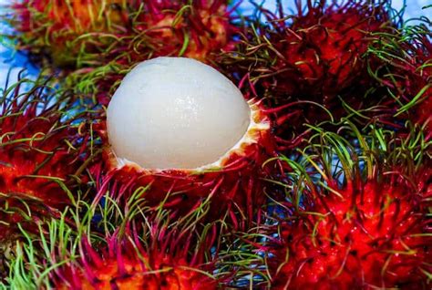 11 Outstanding Benefits Of Rambutan - Healy Shots