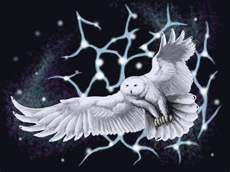 Celestial Owl (3.5e Creature) - D&D Wiki