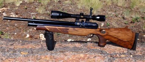 67 best images about Hunting Rifles on Pinterest | Deer hunting, Air ...