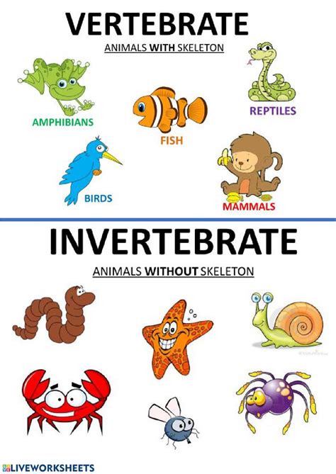 Liveworksheets Vertebrates And Invertebrates