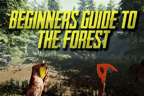 Beginner’s Guide to Surviving the Forest – Game Voyagers