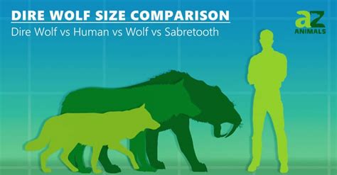 Saber Tooth Tiger Vs Dire Wolf