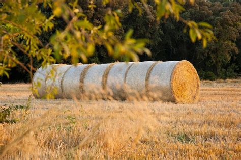 Premium Photo | Straw bales