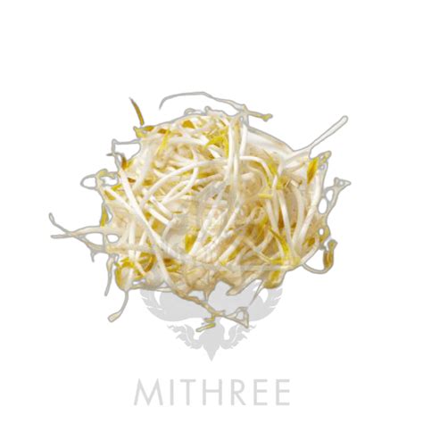 BEAN SPROUTS 250G/10 - MITHREE