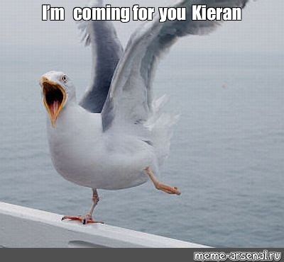 Meme: "I’m coming for you Kieran" - All Templates - Meme-arsenal.com