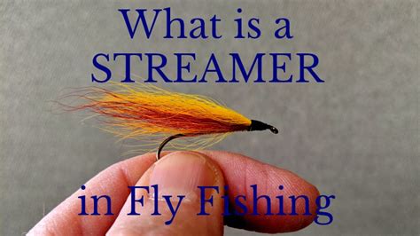 What is a Fly Fishing Streamer (How to Use and What to Pick) - Guide Recommended