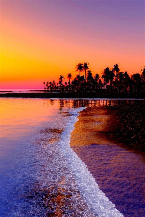 Wallpaper Beach, Tropics, Sea, Sand, Palm Trees, Sunset - Sunset Beach Wallpaper Iphone (#241571 ...