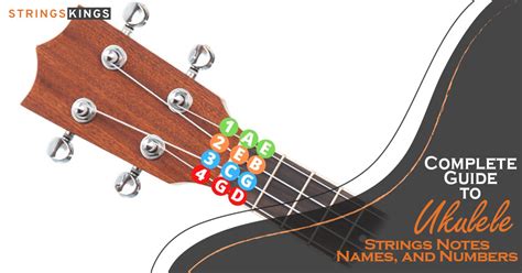 Complete Guide to Ukulele Strings Notes, Names, and Numbers